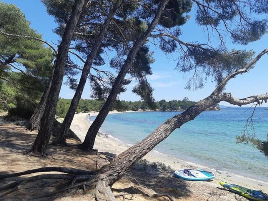 Studio Cabine Climatise 800 M De La Plage Et Des Commerces Bormes-les-Mimosas Luaran gambar