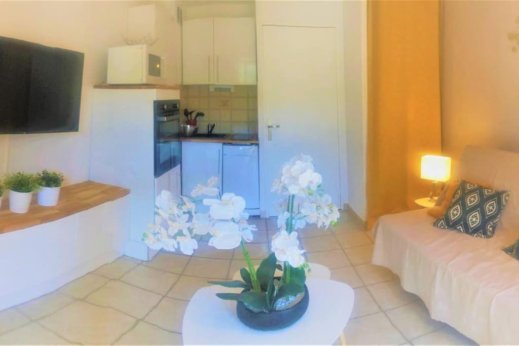 Studio Cabine Climatise 800 M De La Plage Et Des Commerces Bormes-les-Mimosas Luaran gambar